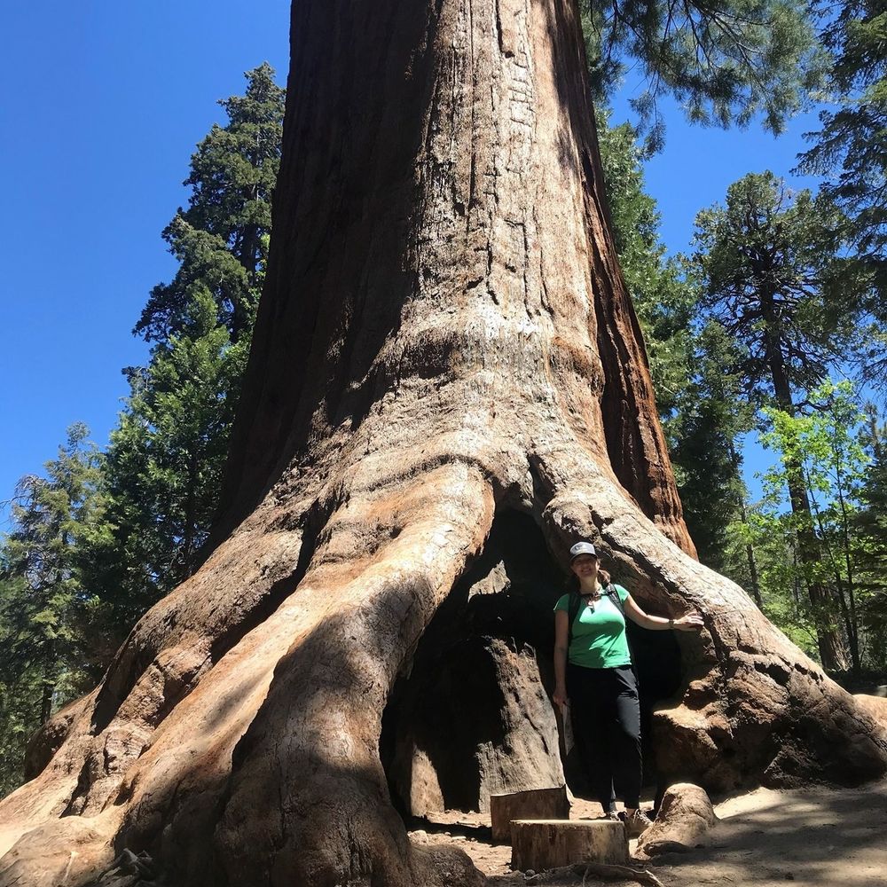 Meet your Posher, Jaimie